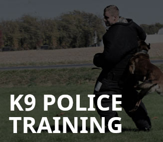 K9 Police Training image is a link to more information